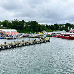 24-07-02 12-01-50 0106